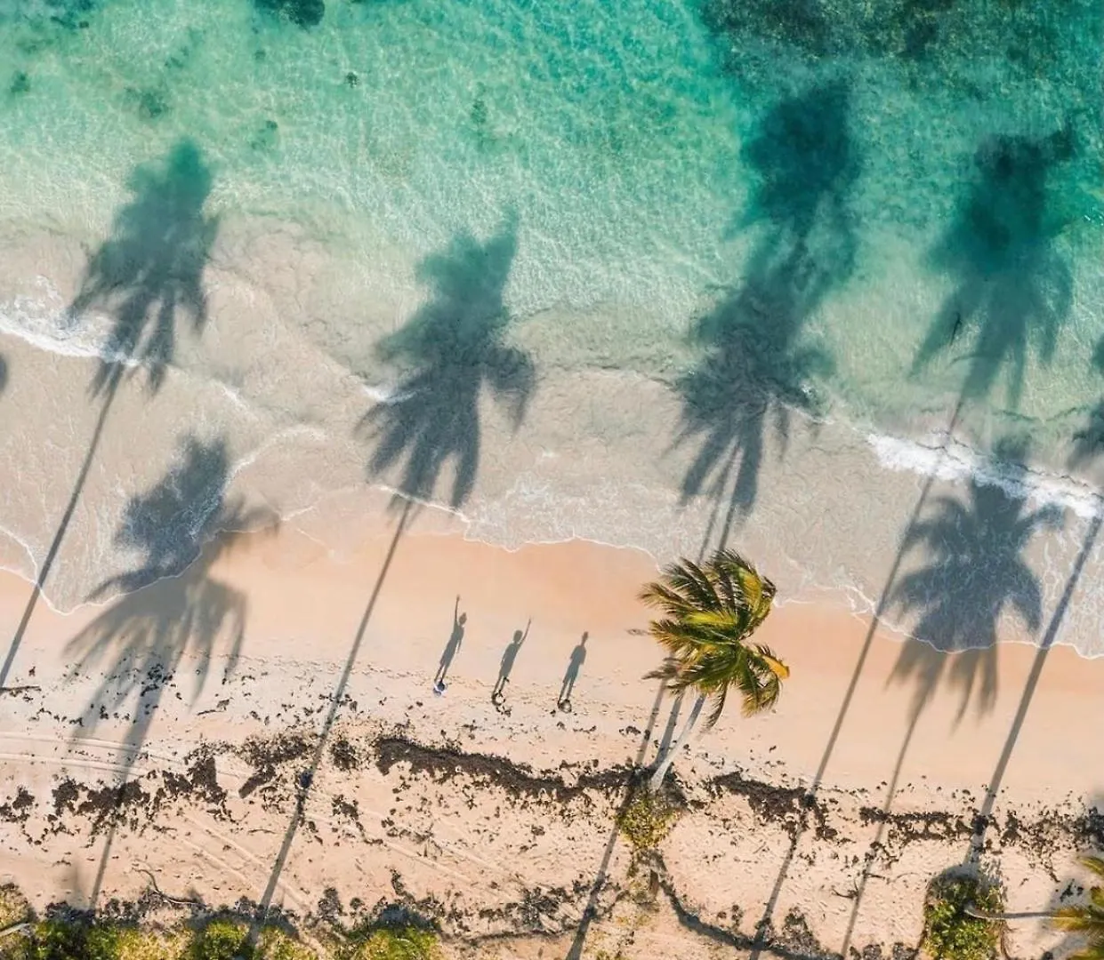 Sol Caribe Suites Beach Club And Pool location