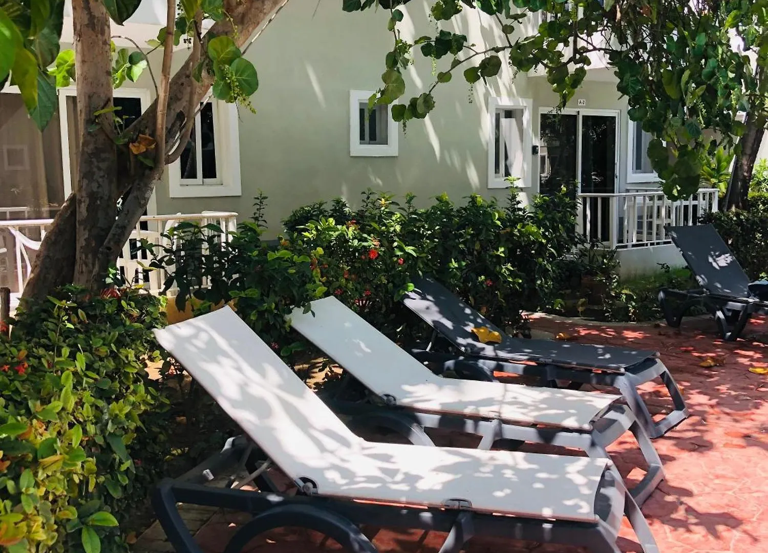 公寓 Sol Caribe Suites Beach Club And Pool 蓬塔卡纳 多米尼加共和国